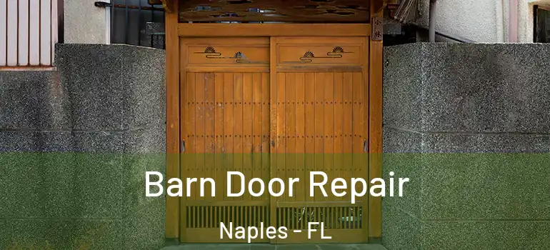Barn Door Repair Naples - FL