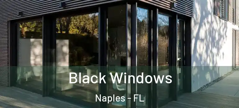Black Windows Naples - FL