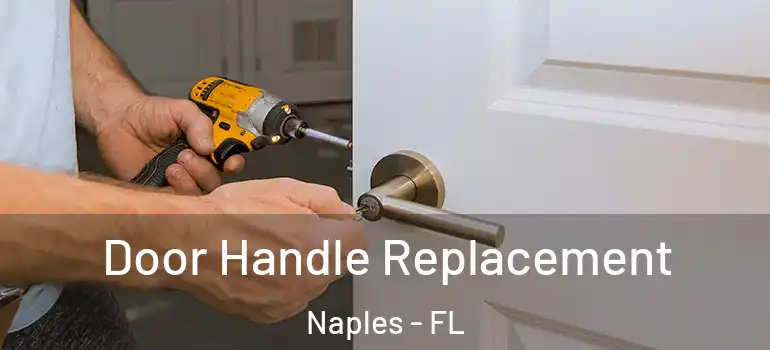 Door Handle Replacement Naples - FL