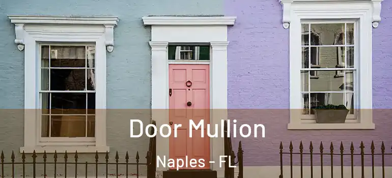 Door Mullion Naples - FL