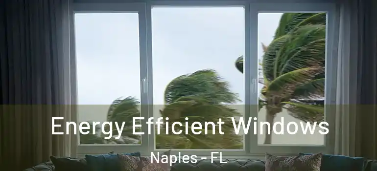 Energy Efficient Windows Naples - FL