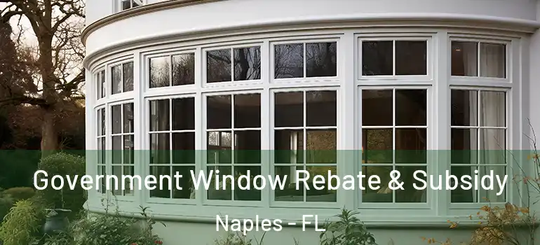Government Window Rebate & Subsidy Naples - FL