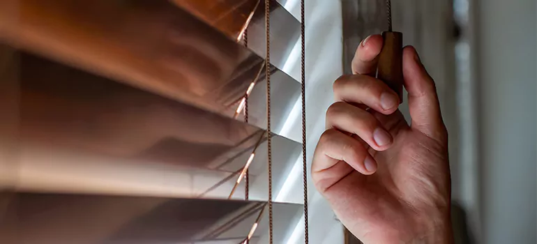 Double Roller Blinds in Naples, FL