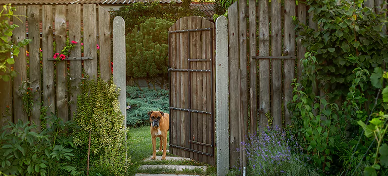 Winter Garden Garage Door Repair in Naples,[location field=state]