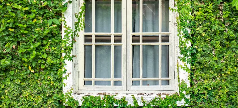 Garden Window Repair Near Me in Naples, FL