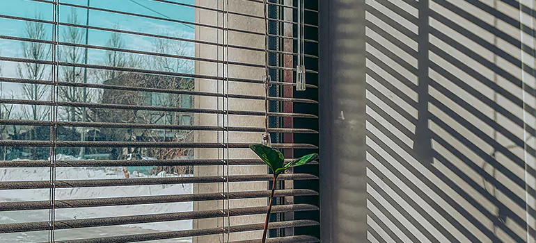 Commercial Window Blinds in Naples, FL