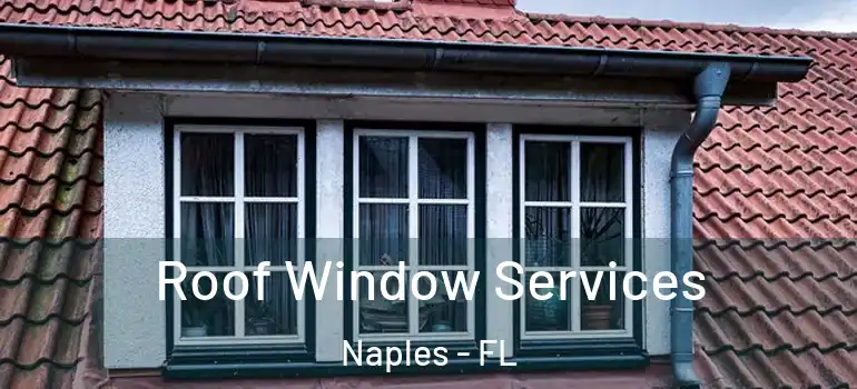 Roof Window Services Naples - FL