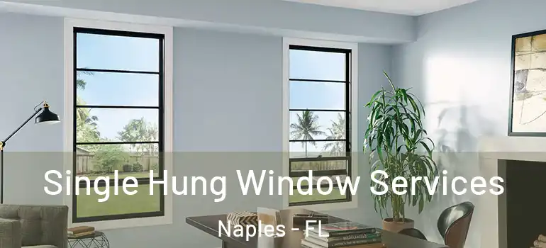 Single Hung Window Services Naples - FL
