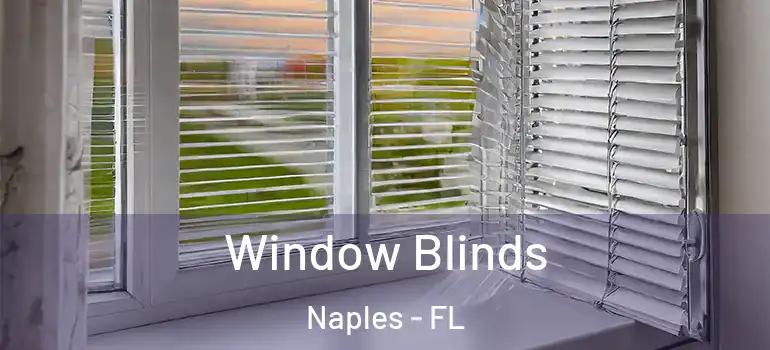 Window Blinds Naples - FL