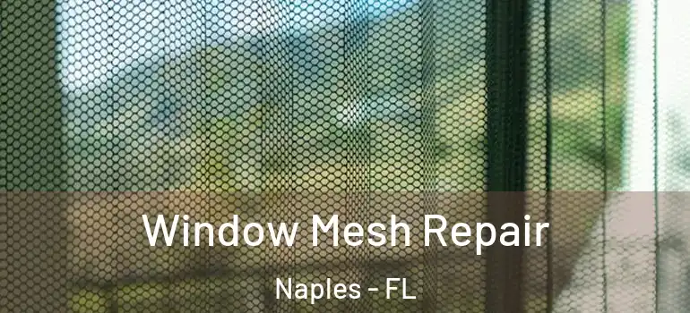 Window Mesh Repair Naples - FL