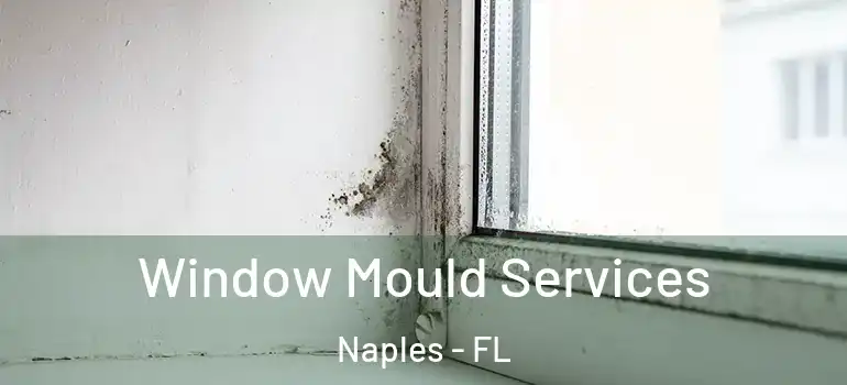 Window Mould Services Naples - FL