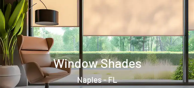 Window Shades Naples - FL