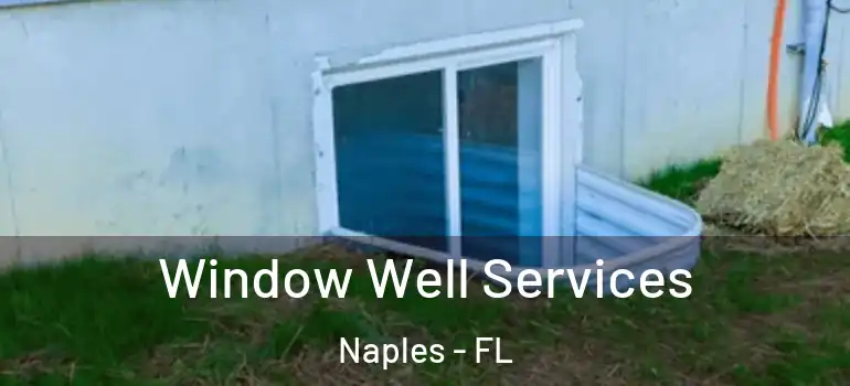 Window Well Services Naples - FL